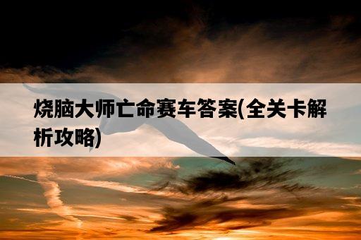 燒腦大師亡命賽車答案，全關卡解析攻略-圖1