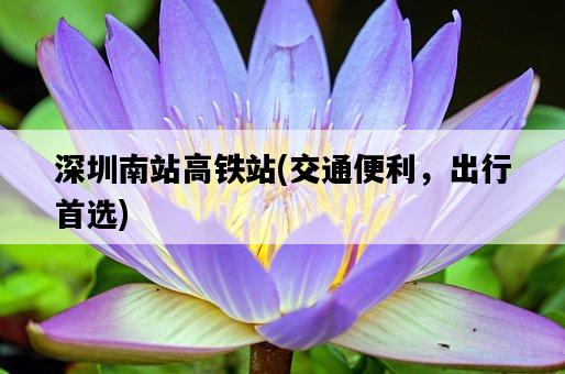 深圳南站高鐵站，交通便利，出行首選-圖1