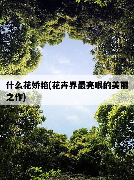什么花嬌艷，花卉界最亮眼的美麗之作-圖1
