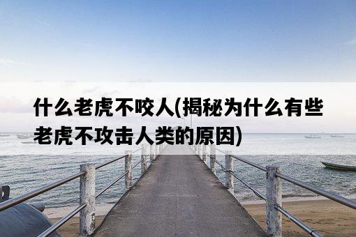 什么老虎不咬人，揭秘為什么有些老虎不攻擊人類的原因-圖1