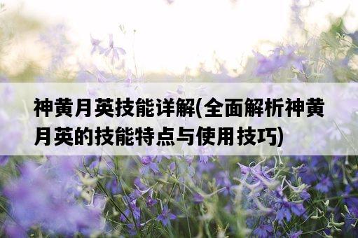 神黃月英技能詳解，全面解析神黃月英的技能特點與使用技巧-圖1