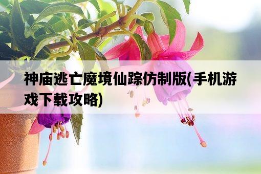 神廟逃亡魔境仙蹤仿制版,手機游戲下載攻略-圖1 神廟逃亡魔境仙蹤仿制版,手機游戲下載攻略-圖1