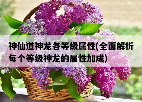神仙道神龍各等級屬性，全面解析每個等級神龍的屬性加成-圖1
