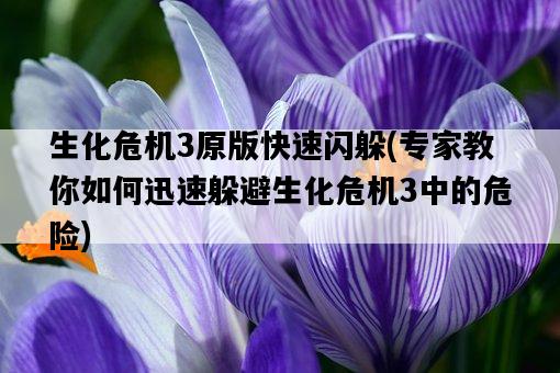 生化危機3原版快速閃躲，專家教你如何迅速躲避生化危機3中的危險-圖1