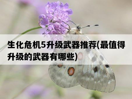 生化危機5升級武器推薦，最值得升級的武器有哪些-圖1