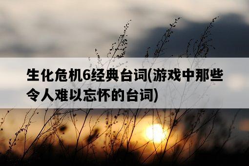 生化危機6經典臺詞，游戲中那些令人難以忘懷的臺詞-圖1
