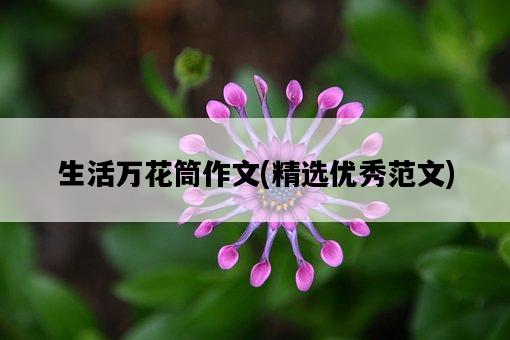 生活萬花筒作文，精選優秀范文-圖1