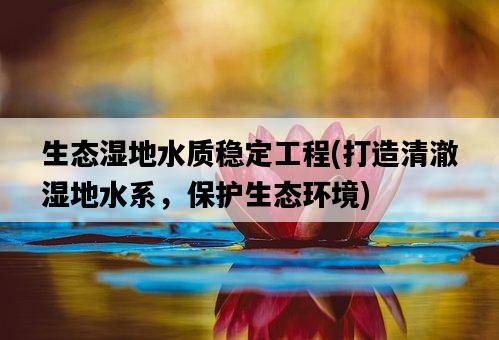 生態濕地水質穩定工程，打造清澈濕地水系，保護生態環境-圖1