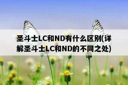 圣斗士LC和ND有什么區別，詳解圣斗士LC和ND的不同之處-圖1