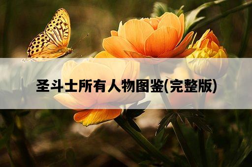 圣斗士所有人物圖鑒，完整版-圖1