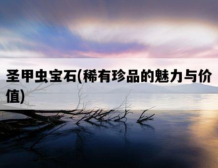 圣甲蟲寶石，稀有珍品的魅力與價值-圖1