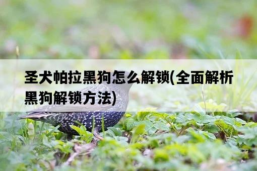圣犬帕拉黑狗怎么解鎖，全面解析黑狗解鎖方法-圖1