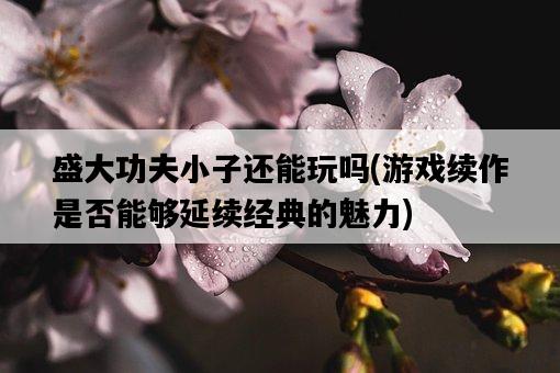 盛大功夫小子還能玩嗎，游戲續作是否能夠延續經典的魅力-圖1