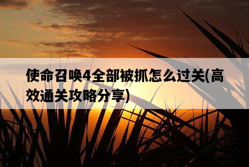 使命召喚4全部被抓怎么過關，高效通關攻略分享-圖1