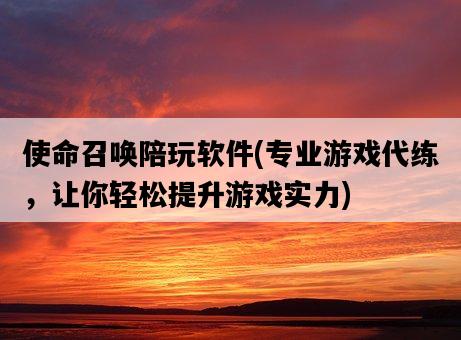 使命召喚陪玩軟件，專業游戲代練，讓你輕松提升游戲實力-圖1