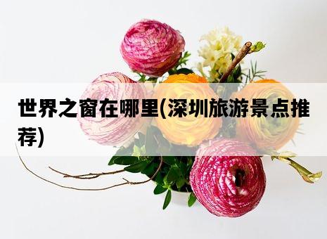 世界之窗在哪里，深圳旅游景點推薦-圖1