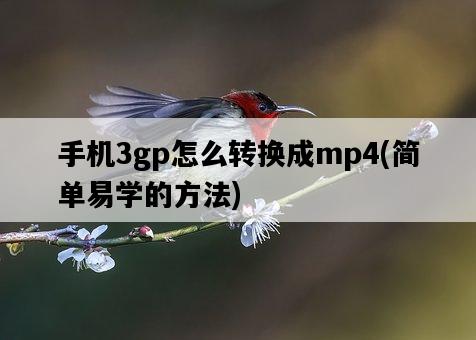 手機3gp怎么轉換成mp4，簡單易學的方法-圖1