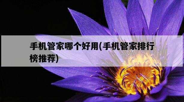 手機管家哪個好用，手機管家排行榜推薦-圖1