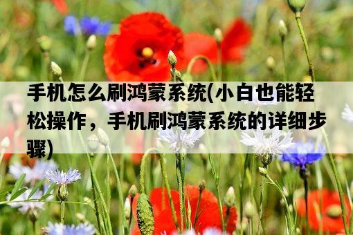 手機怎么刷鴻蒙系統,小白也能輕松操作,手機刷鴻蒙系統的詳細步驟-圖1 手機怎么刷鴻蒙系統,小白也能輕松操作,手機刷鴻蒙系統的詳細步驟-圖1