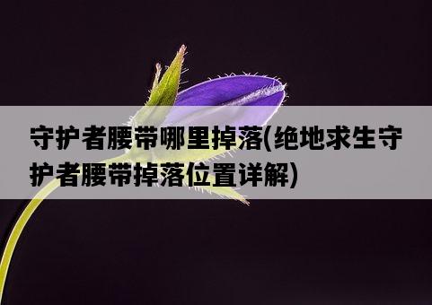 守護者腰帶哪里掉落，絕地求生守護者腰帶掉落位置詳解-圖1