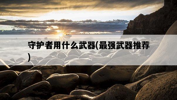 守護者用什么武器，最強武器推薦-圖1