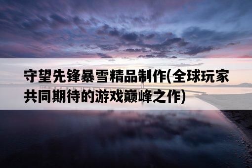 守望先鋒暴雪精品制作，全球玩家共同期待的游戲巔峰之作-圖1