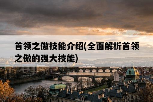 首領之傲技能介紹，全面解析首領之傲的強大技能-圖1