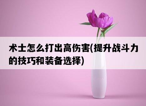 術士怎么打出高傷害，提升戰斗力的技巧和裝備選擇-圖1