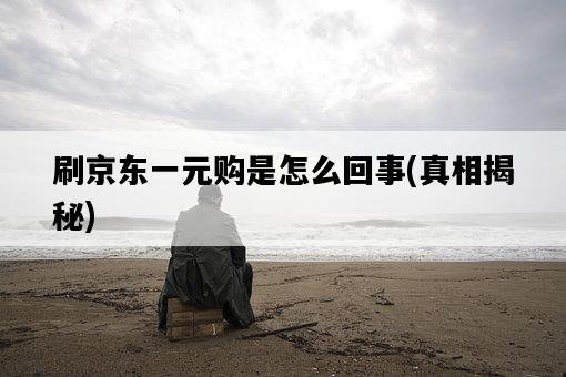 刷京東一元購是怎么回事，真相揭秘-圖1