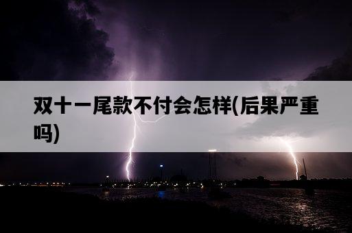 雙十一尾款不付會怎樣，后果嚴重嗎-圖1