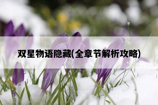 雙星物語隱藏，全章節解析攻略-圖1