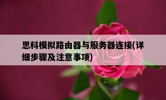 思科模擬路由器與服務器連接，詳細步驟及注意事項-圖1