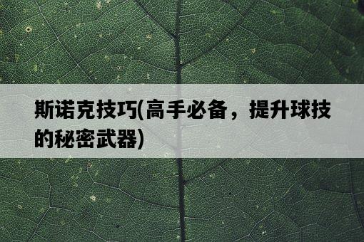 斯諾克技巧,高手必備,提升球技的秘密武器-圖1 斯諾克技巧,高手必備,提升球技的秘密武器-圖1