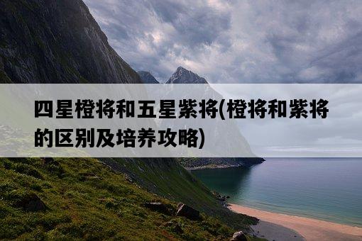 四星橙將和五星紫將，橙將和紫將的區別及培養攻略-圖1
