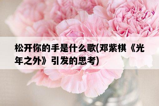 松開你的手是什么歌，鄧紫棋《光年之外》引發的思考-圖1
