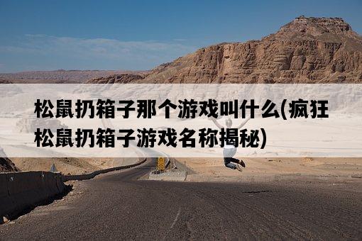 松鼠扔箱子那個游戲叫什么，瘋狂松鼠扔箱子游戲名稱揭秘-圖1