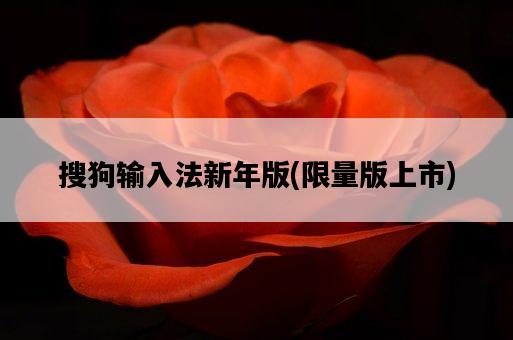 搜狗輸入法新年版，限量版上市-圖1