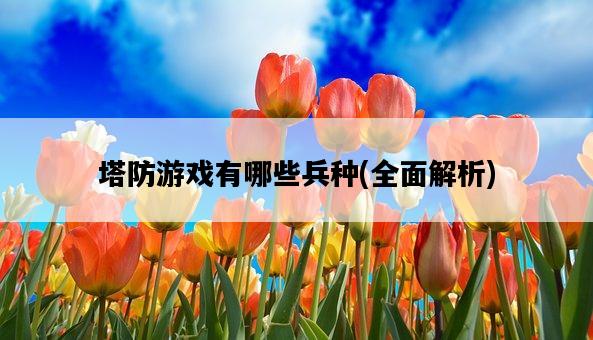 塔防游戲有哪些兵種，全面解析-圖1