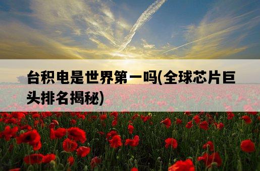 臺積電是世界第一嗎，全球芯片巨頭排名揭秘-圖1