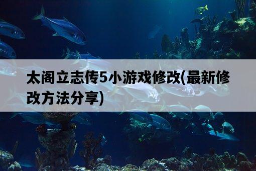 太閣立志傳5小游戲修改，最新修改方法分享-圖1