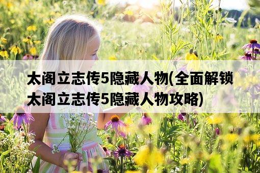 太閣立志傳5隱藏人物，全面解鎖太閣立志傳5隱藏人物攻略-圖1