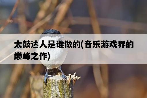 太鼓達人是誰做的，音樂游戲界的巔峰之作-圖1
