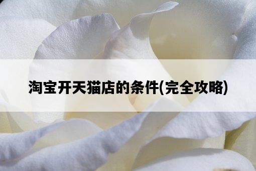 淘寶開天貓店的條件，完全攻略-圖1