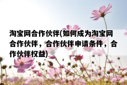 淘寶網合作伙伴，如何成為淘寶網合作伙伴，合作伙伴申請條件，合作伙伴權益-圖1
