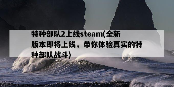 特種部隊2上線steam，全新版本即將上線，帶你體驗真實的特種部隊戰斗-圖1