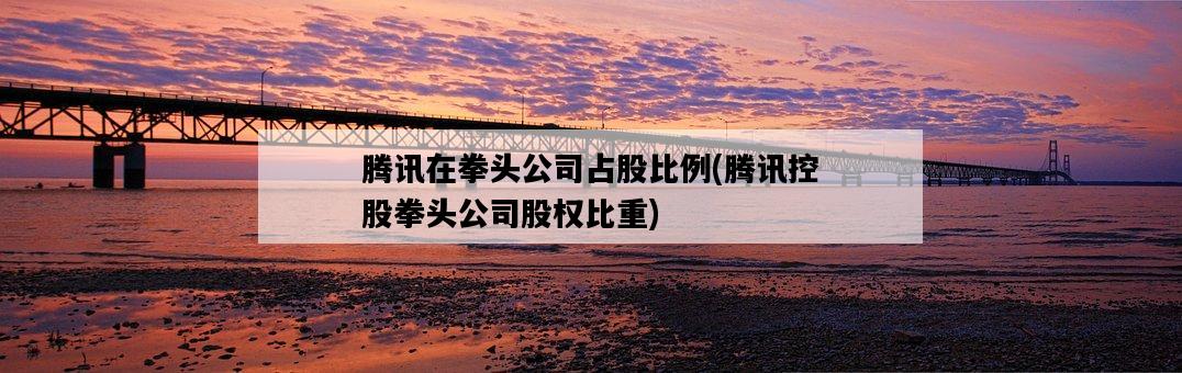 騰訊在拳頭公司占股比例,騰訊控股拳頭公司股權比重-圖1 騰訊在拳頭公司占股比例,騰訊控股拳頭公司股權比重-圖1