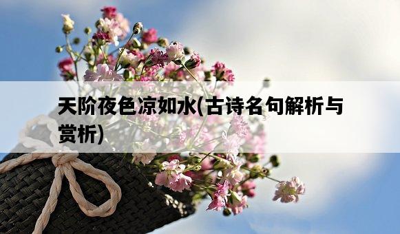 天階夜色涼如水，古詩名句解析與賞析-圖1