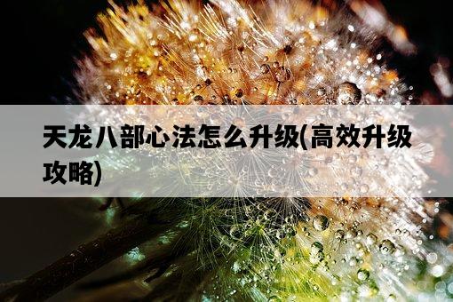 天龍八部心法怎么升級，高效升級攻略-圖1