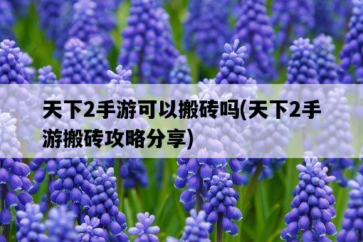 天下2手游可以搬磚嗎，天下2手游搬磚攻略分享-圖1