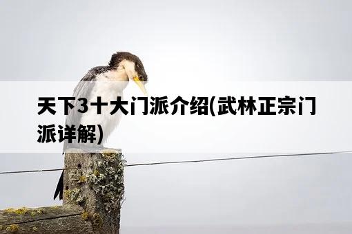天下3十大門派介紹，武林正宗門派詳解-圖1